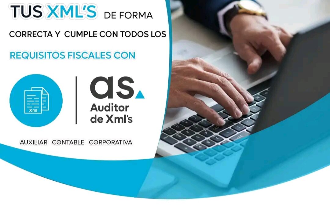 Auditor XML